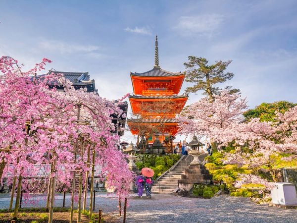 You’ve always wanted to visit Japan So Here are the japan tours info