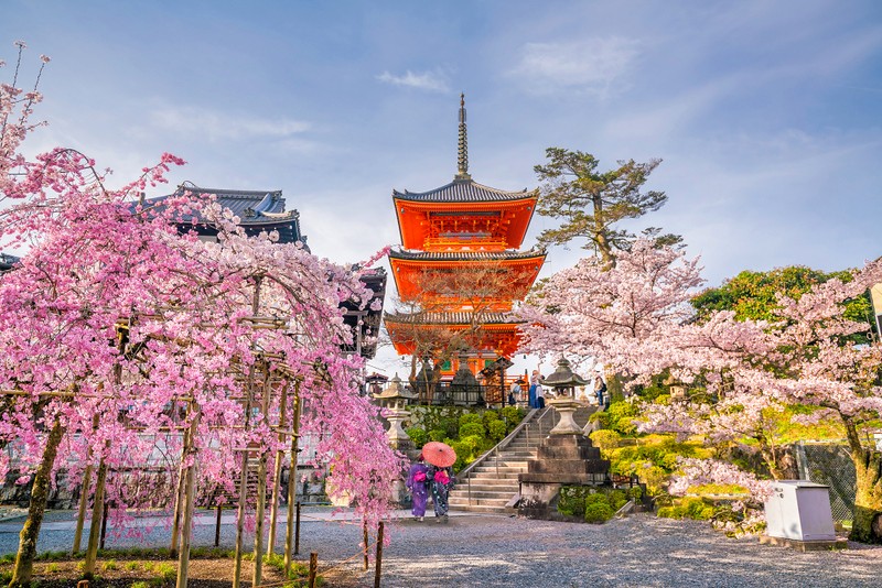 You’ve always wanted to visit Japan So Here are the japan tours info