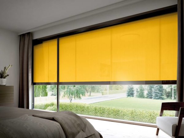Get to add security and privacy to your home with motorized blinds!