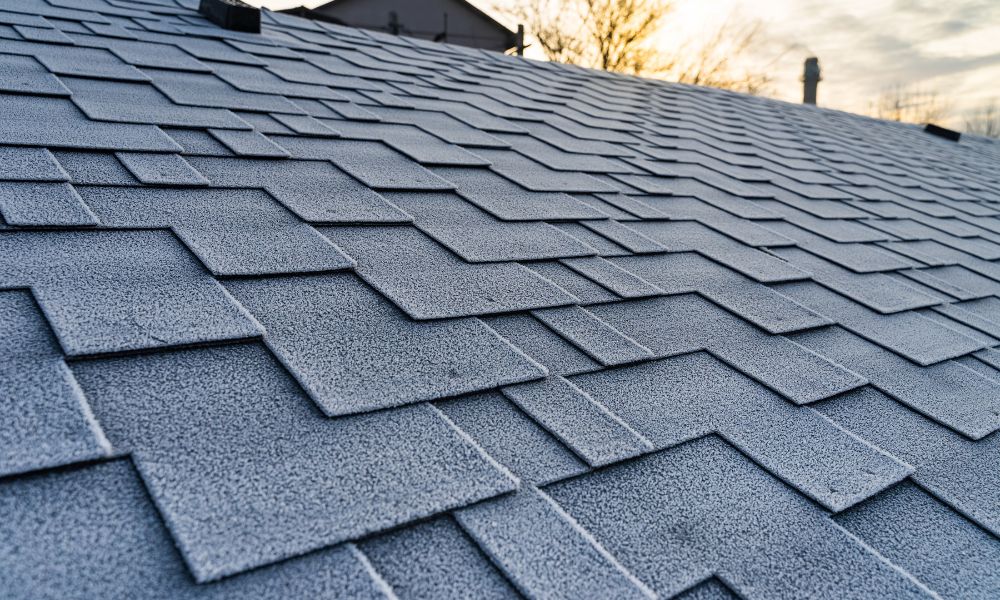 Corpus Christi Roofing Excellence: Finding the Right Company for Your Roofing Needs