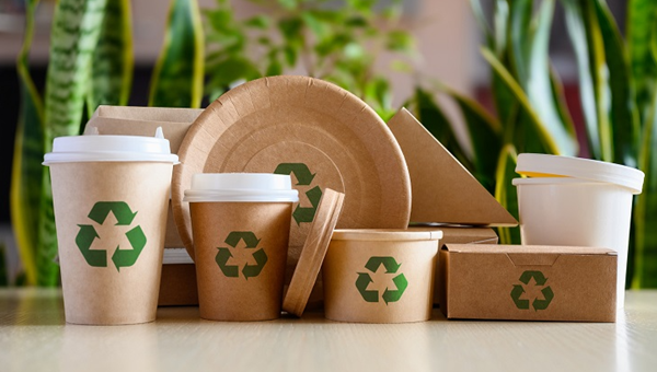 Sustainability Unwrapped: How Green Packaging is Reshaping the Future of Products