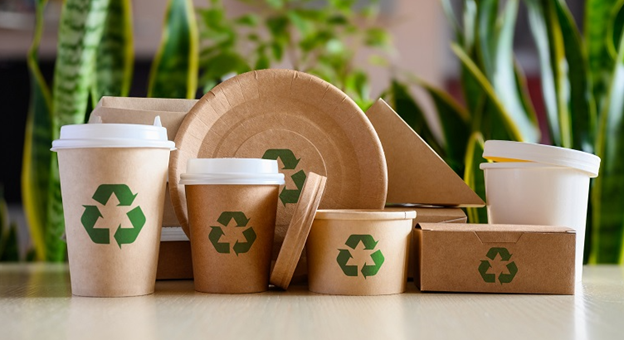Sustainability Unwrapped: How Green Packaging is Reshaping the Future of Products