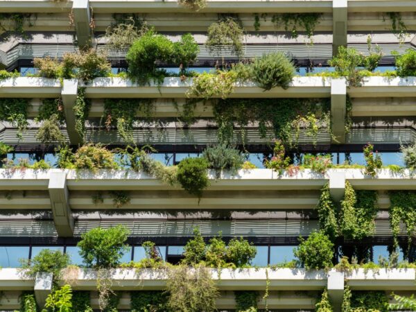 Revolutionizing Design: The Rise of Ecological Architects