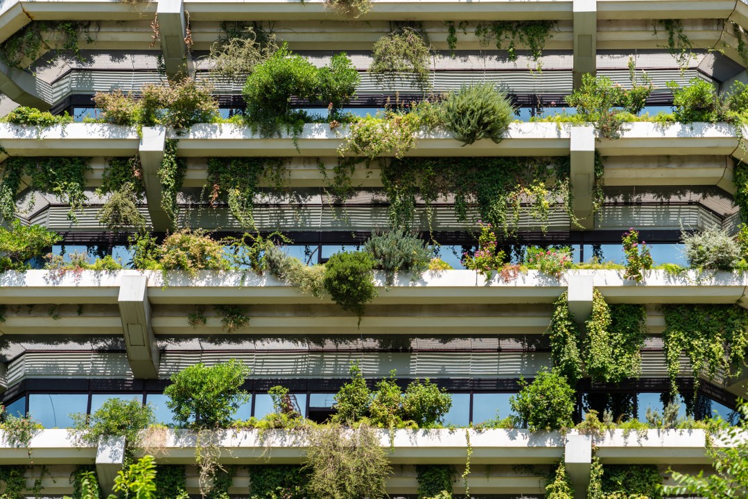 Revolutionizing Design: The Rise of Ecological Architects