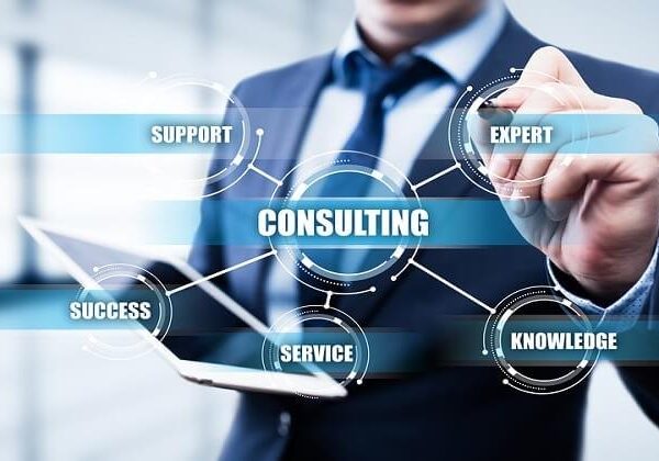 Maximising Efficiency with IT Consulting Services and Procurement Software