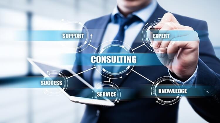 Maximising Efficiency with IT Consulting Services and Procurement Software